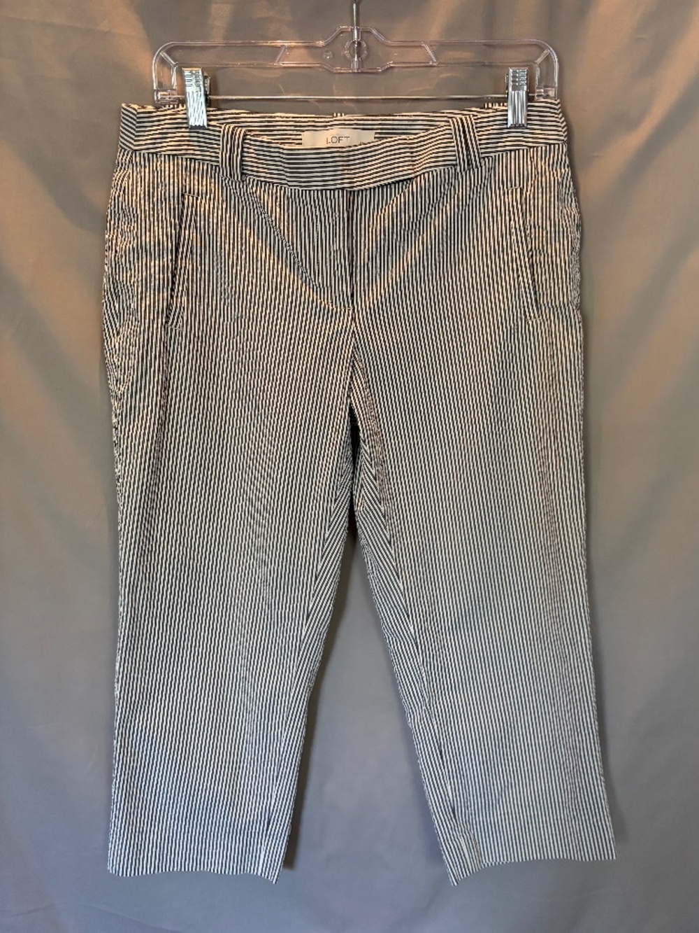 LOFT Petite Marisa Pants in Blue & White - Size 6P